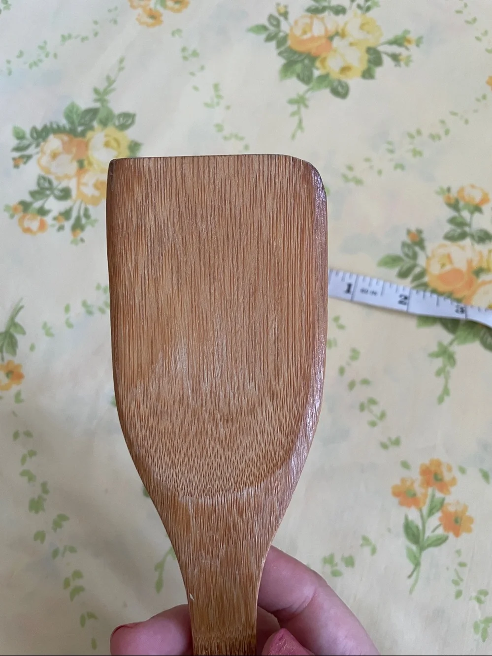Louisiana Pick Your Passion Wooden Spoon